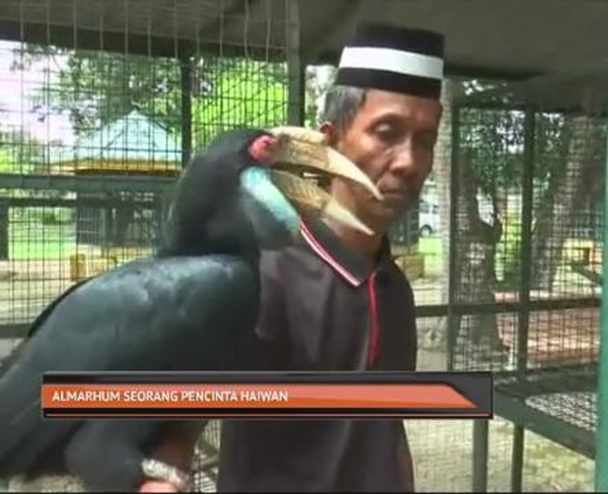 Almarhum seorang pencinta haiwan