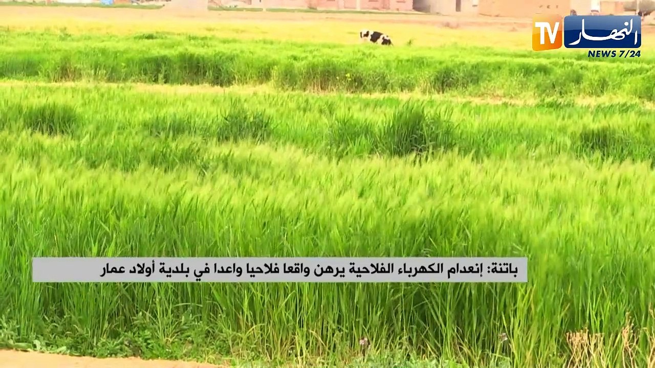 النشرة الأمازيغية لليلة الإثنين 28 فيفري 2022