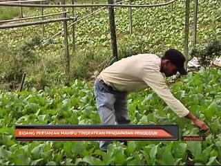 Bicara Sarawak: Bidang pertanian mampu tingkatkan pendapatan penduduk