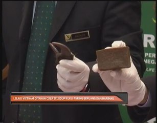 Lelaki Vietnam ditahan cuba seludup kuku, taring beruang dan harimau