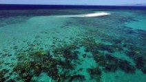 A natural wonder of the world the Great Barrier Reef. Credit Phil Warring