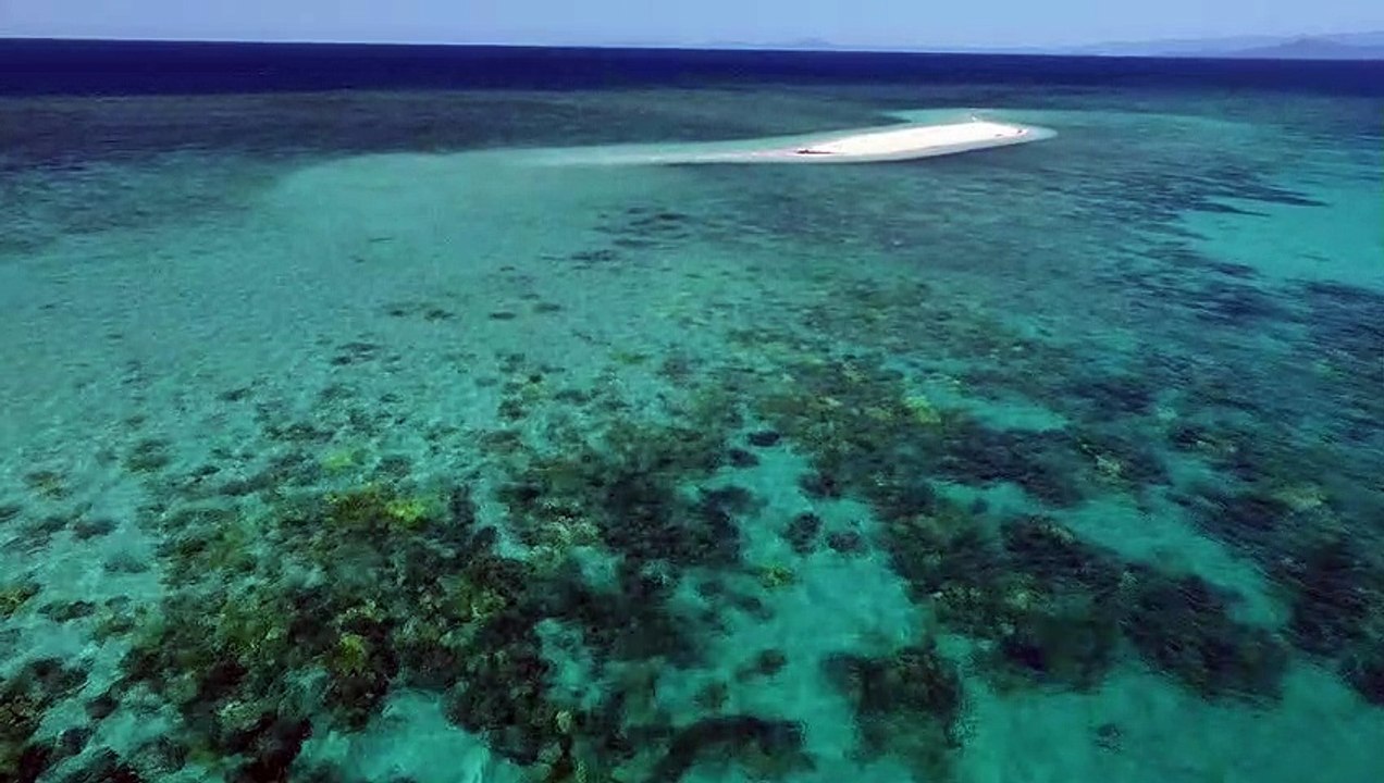 A natural wonder of the world the Great Barrier Reef. Credit Phil Warring