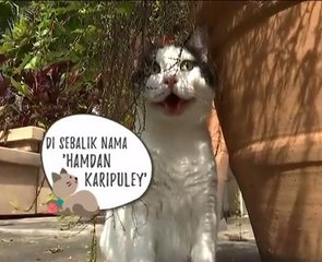 Paws Planet: Hamdan Karipuley