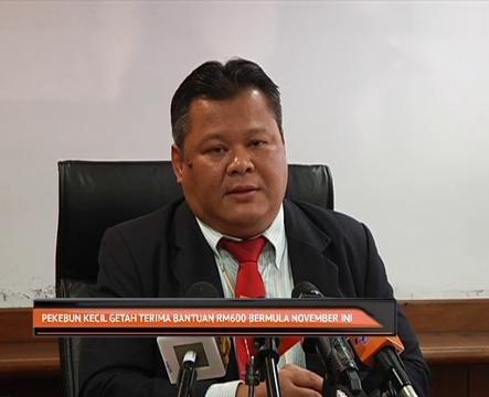 Pekebun kecil getah terima bantuan RM600 bermula November ini