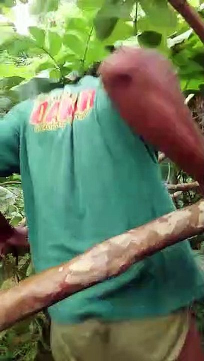 ngakak