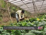 Bicara Sarawak: Belia bantu pertanian Sarawak maju