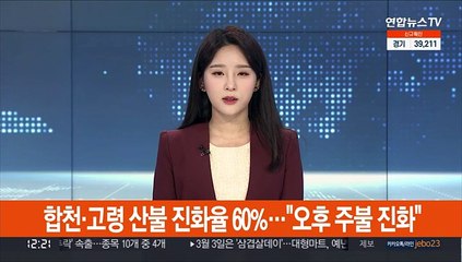 합천·고령 산불 진화율 60%…"오후 주불 진화"