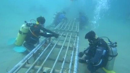 Eko Santai (Episod 2) S2: Cipta rekod tanam terumbu karang