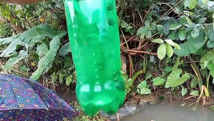 dapat banyak ikan nya