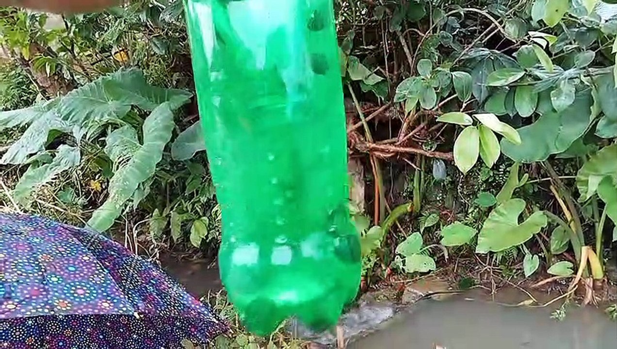 dapat banyak ikan nya