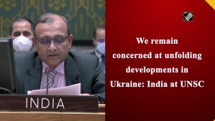 We remain concerned at unfolding developments in Ukraine: India at UNSC