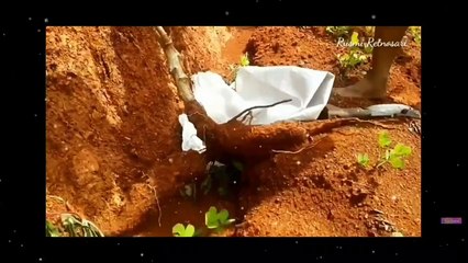 ASAL USUL NAMA INDONESIA - KALIAN WAJIB TAU !!