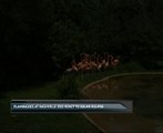 Flamingoes at Nashville zoo react to solar eclipse