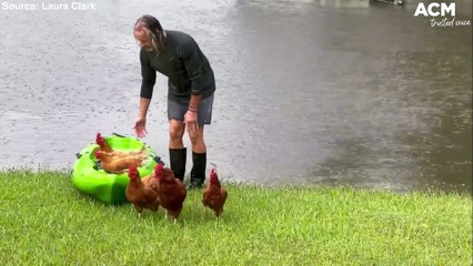 Download Video: Man rescues chickens from flood waters using a kayak amid Queensland floods | March 1, 2022 | ACM