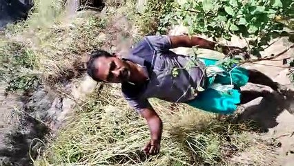 மகாசிவராத்திரி... பூண்டி வெள்ளியங்கிரி ஆண்டவர் கோவிலில் மலையேர குவிந்த பக்தர்கள் கூட்டம்