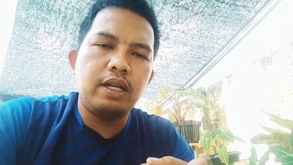 how to make a coconut shell bonsai nungging