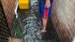 Hundreds of people shelter from flooding at Woodburn, NSW