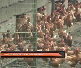 15 negara dikhuatiri terima telur tercemar