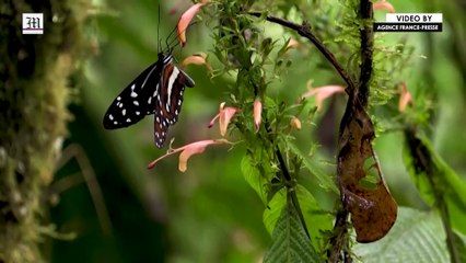 'Liveable future' at risk, UN climate report warns