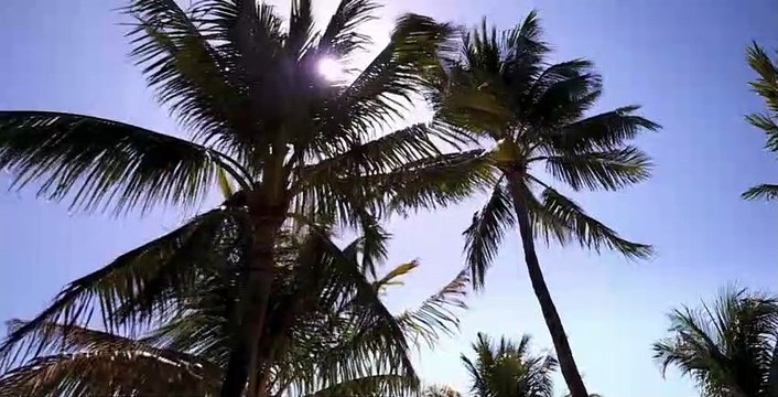 Greenhouse Academy S02 E12