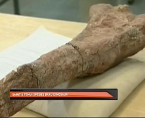 Saintis temui spesies baru dinasour
