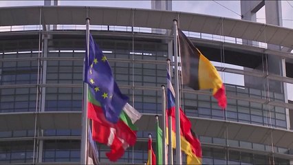 Sofortige EU-Beitrittsperspektive? Diese EU-Staaten befürworten Aufnahme der Ukraine