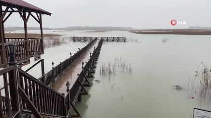 Efteni Gölü'nde su seviyesi yükseldi