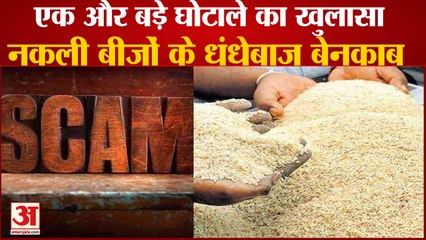 Fake Seed Racket Exposed In Haryana|हरियाणा में बड़े घोटाले का हुआ खुलासा,बीजों के धंधेबाज बेनकाब