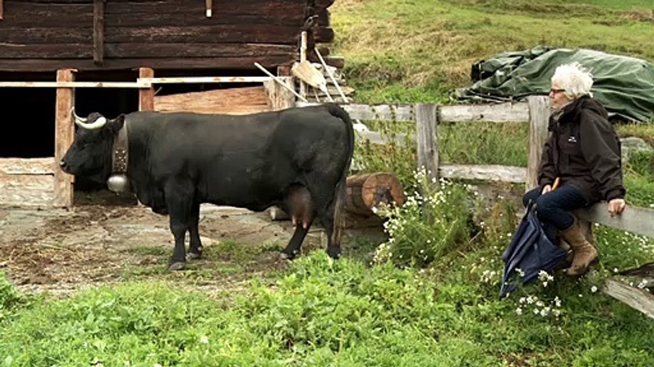 Vedette Bande-annonce VF (2022) Claudine Bories, Patrice Chagnard