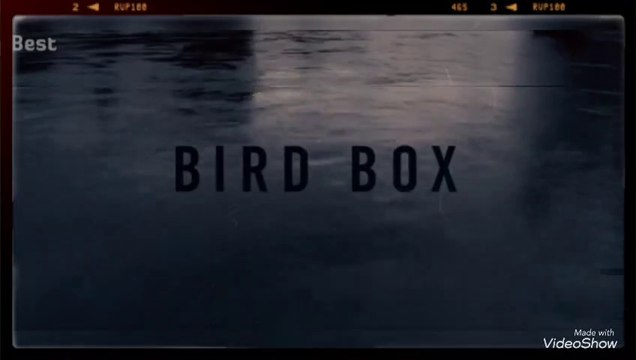 Bird Box- Movie recaps