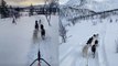 'Christmas comes early for Norwegian man as he embarks on an enchanting dog sled ride '