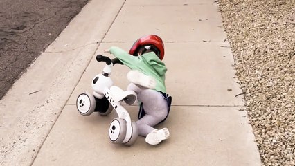 ''I Otay!' Cycling-loving toddler falls off balance bike outside her house'