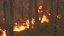 이틀간 산불...축구장 900여 개 산림 한순간에 잿더미 / YTN