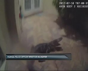 Florida police officer wrestles alligator