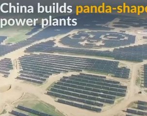 China brings green energy in the shape of pandas