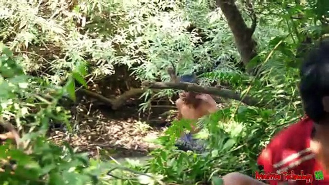 World Cuisine - Eating Delicious - Cook Big Chicken Near the River #202