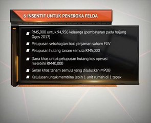 Enam insentif untuk peneroka Felda