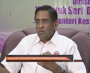 Keberkesanan kaedah baharu halang penularan denggi di peringkat kajian