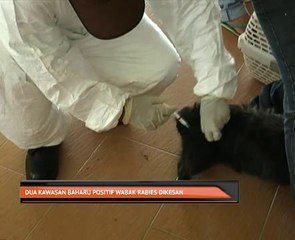 Dua kawasan baharu positif wabak rabies dikesan