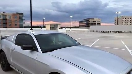 Un drift de Ford Mustang qui termine contre un un pylône