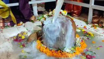 महाशिवरात्रि : यहां शिवालयों के लगी कतारें... देखिए वीडियो