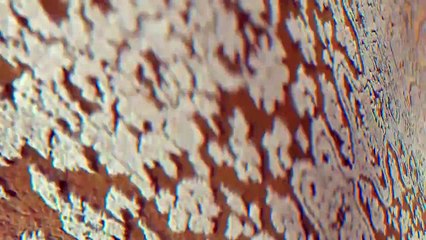 Ebru Yaşar şarkısını Royal Halı için uyarladı