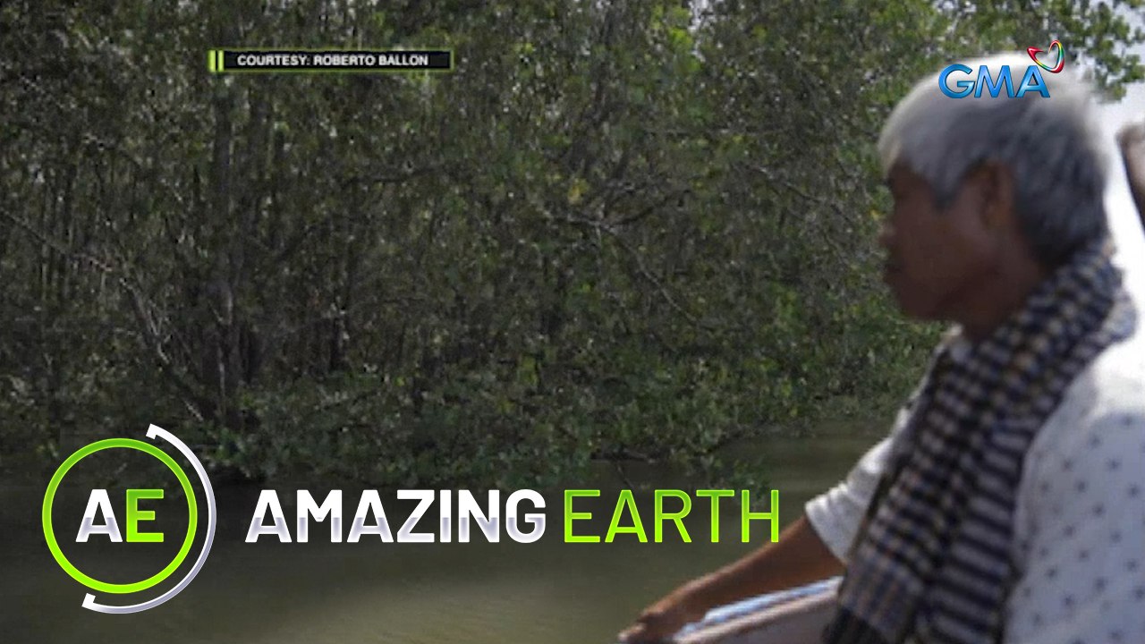 Amazing Earth: Eye for an eye: nature’s answer to human actions
