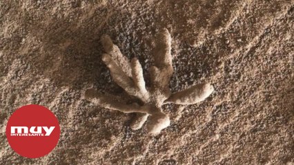 Descubren una flor de cristales en Marte