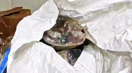 Sicilia - Pesce spada e tonno rosso non regolare, scaduto o mal conservato: blitz della Guardia Costiera (01.03.22)