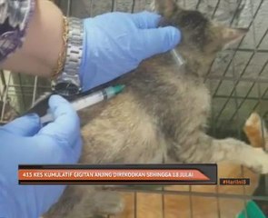 415 kes kumulatif gigitan anjing direkodkan sehingga 18 Julai