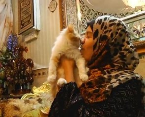 "Aidilfitri bersama kucing kesayangan"