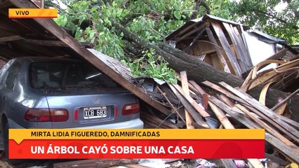 Un árbol cayó sobre una casa