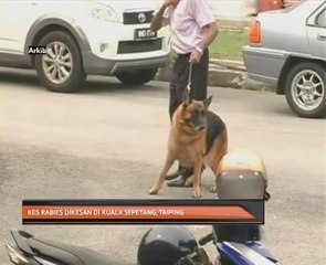 Kes rabies dikesan di Kuala Sepetang, Taiping
