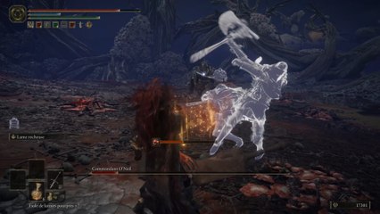 Elden Ring : Commandant O'Neil